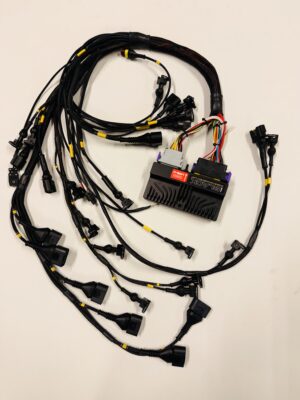 M50/M52/M54 Mootori juhtmestik