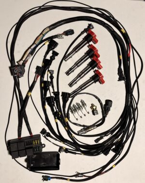 Audi b5 1.8t Mootori EFI kit